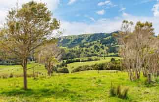 207 Aponga Stream Road, Purua