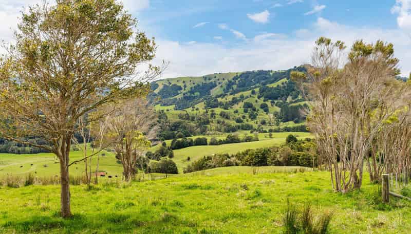 207 Aponga Stream Road, Purua