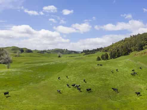 2140 State Highway 4, Aria