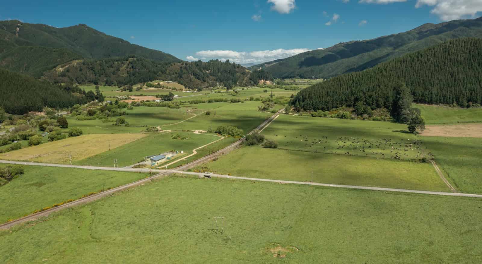 Speeds Road, Koromiko, Marlborough For Sale realestate.co.nz