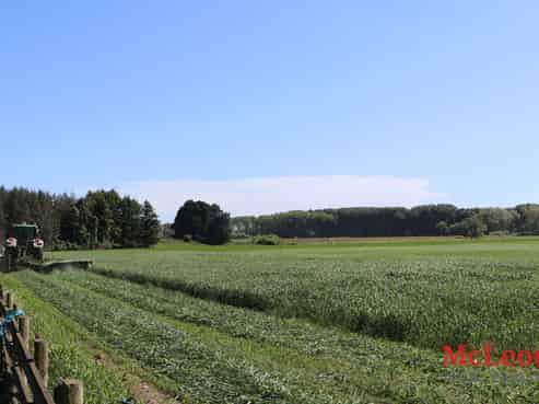  Boundary Road, Ashburton