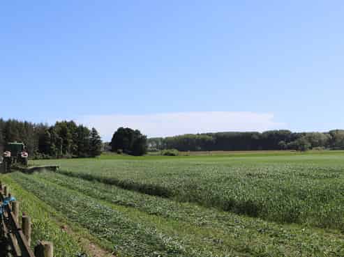  Boundary Road, Ashburton