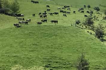 Waikato - Address withheld