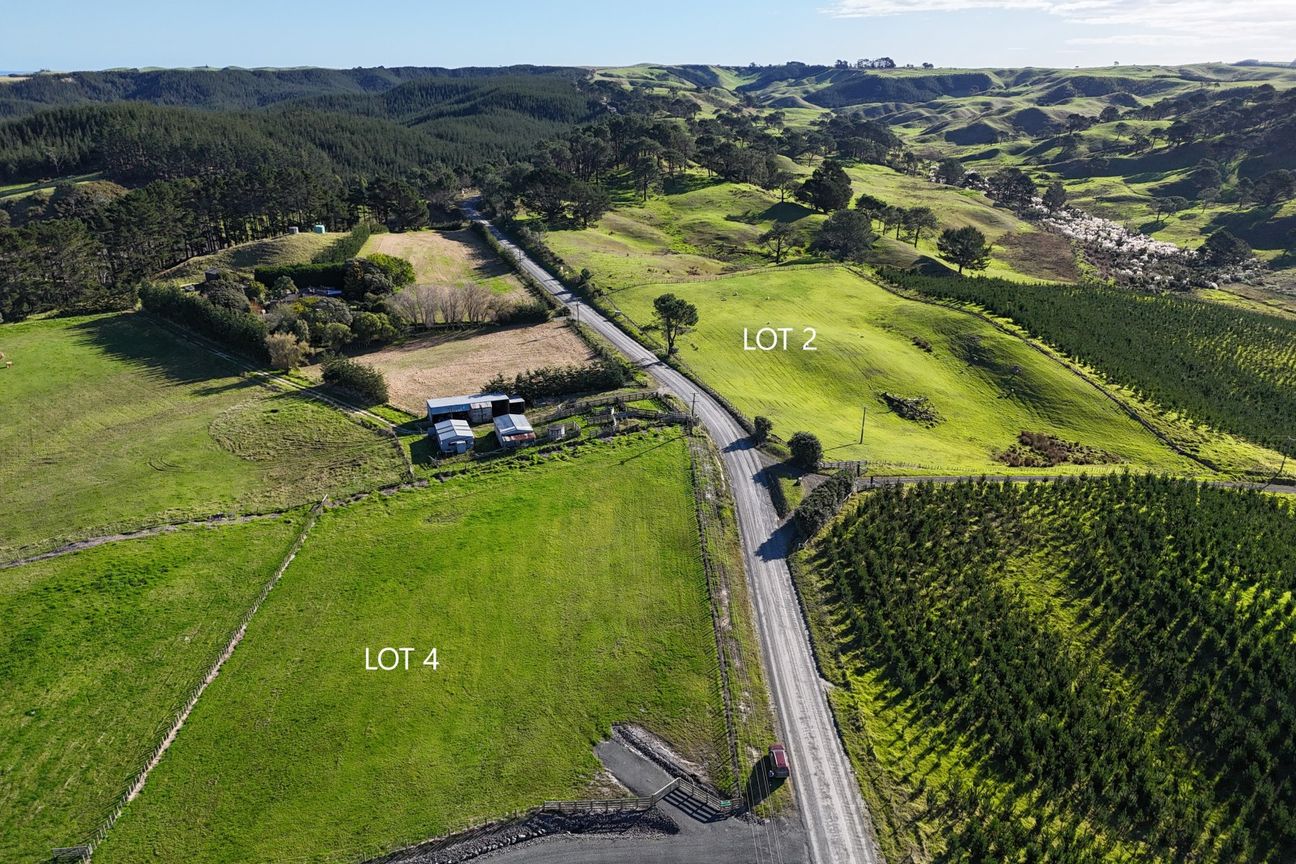 Developer Has Reduced Price - Now $299,000 - Widok 4
