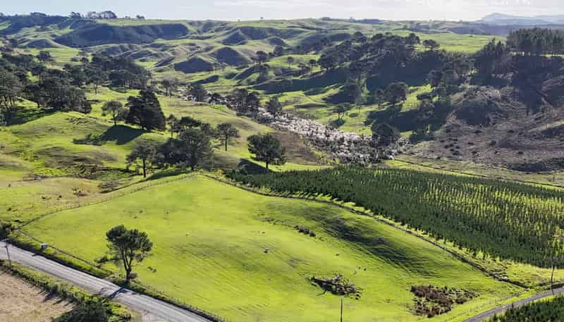320A Babylon Coast Road, Dargaville