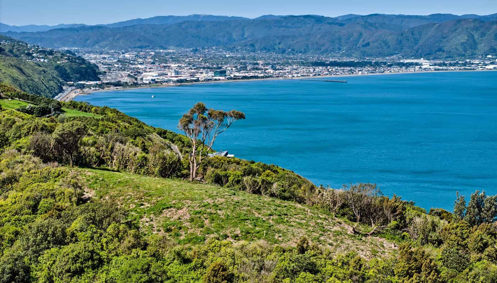 50 Dungarvan Road, Newlands, Wellington City For Sale realestate.co.nz