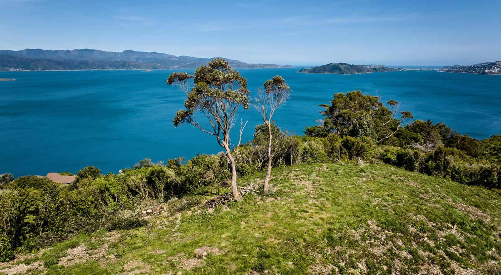 50 Dungarvan Road, Newlands, Wellington City For Sale realestate.co.nz