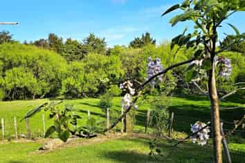 1115 Horeke Road, Horeke