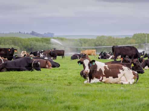 2593 Hakataramea Highway, Ikawai