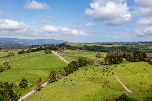 Sold - 4318 State Highway 12, Kaikohe - realestate.co.nz