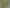 110 Melbourne Street, South Dunedin