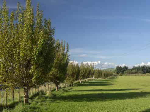 9/ Admiral Road, Carterton