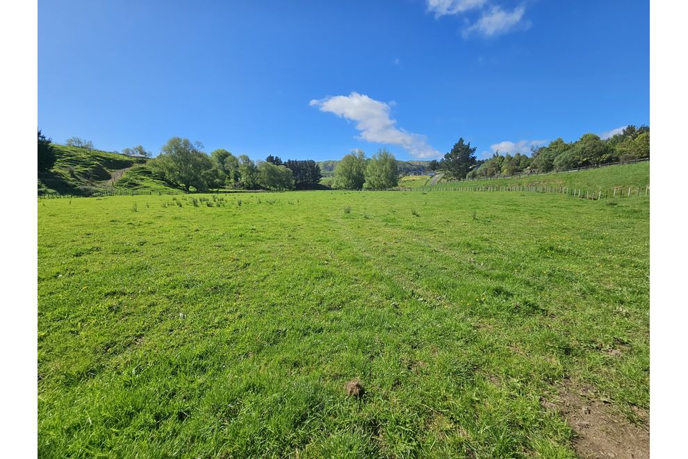 9 Buckley Road, Levin, Horowhenua For Sale realestate.co.nz