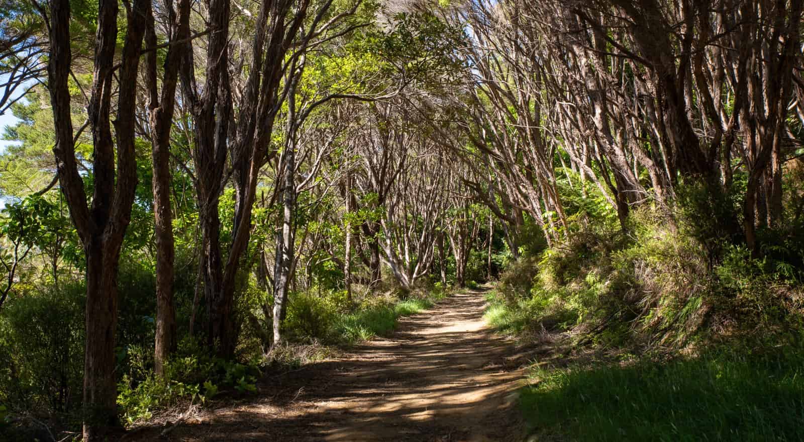 Lot 2 D P 373005, Endeavour Inlet, Marlborough For Sale realestate