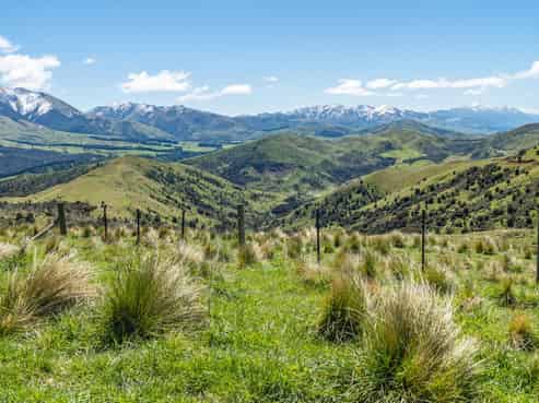 2314 Inland Road, Lyford