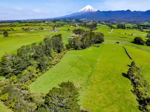 1494 Mangorei Road, Mangorei