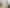 Boutique Mount Maunganui entry level investment