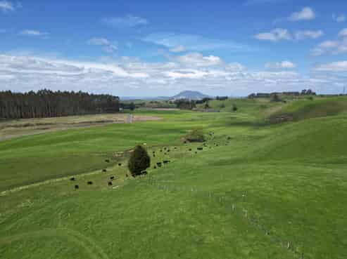 140 Tuhingamata Road , Oruanui