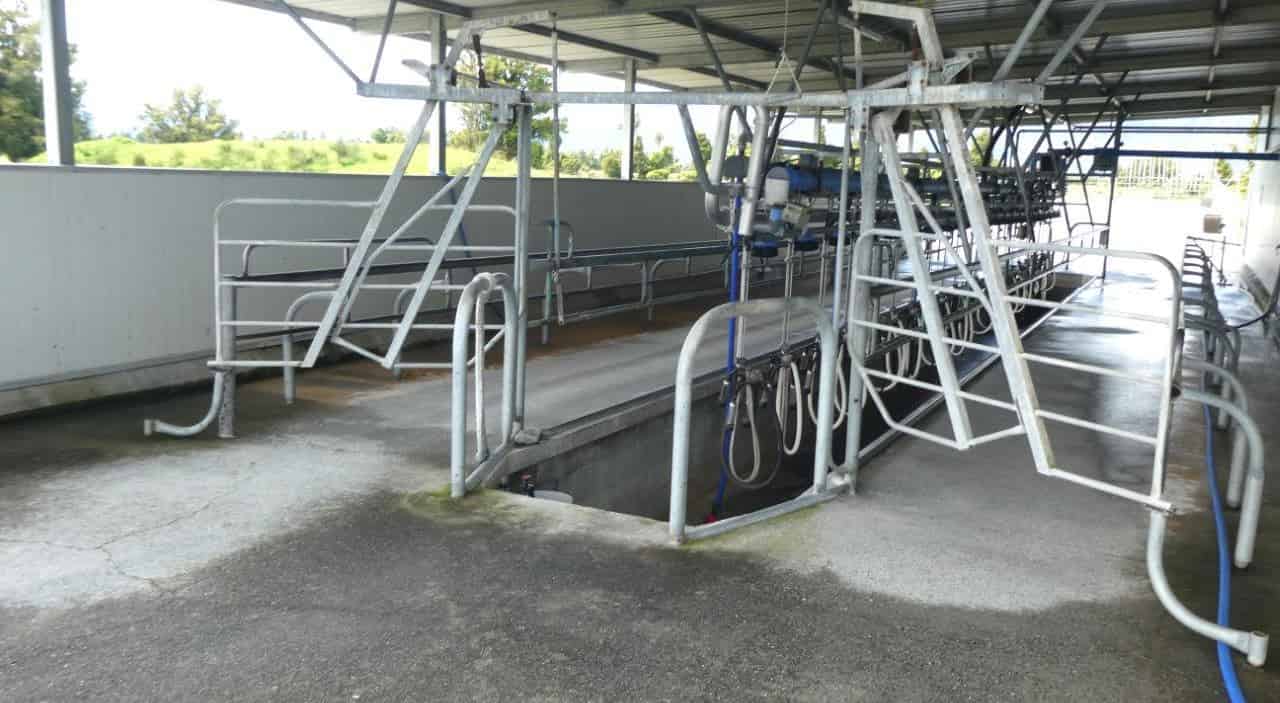 284 Whataroa Flat Road, Whataroa, Westland For Sale realestate.co.nz