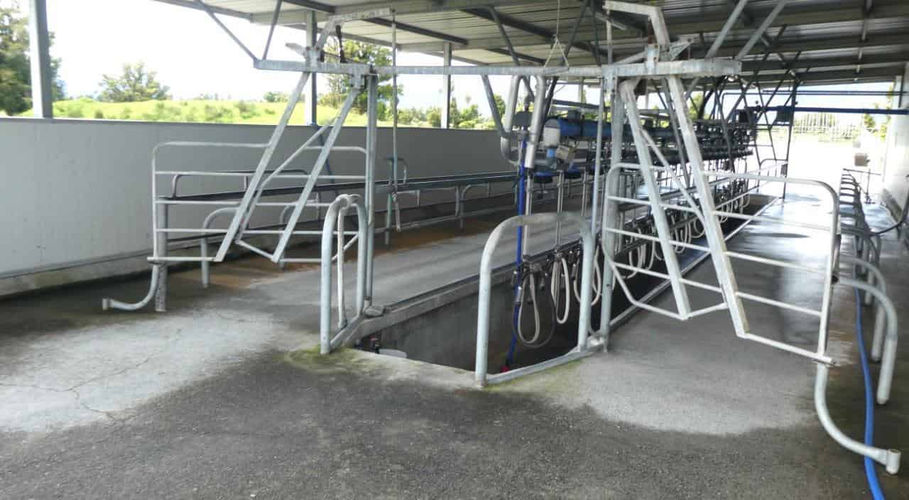 284 Whataroa Flat Road, Whataroa, Westland For Sale realestate.co.nz