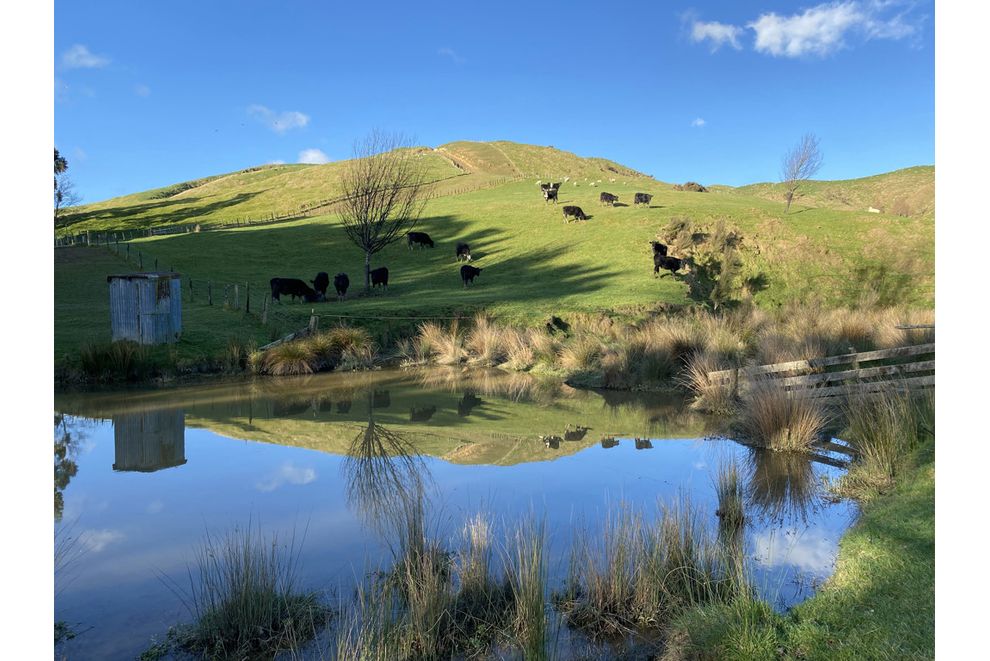 130 Bowen Road, Eketahuna, Tararua For Sale realestate.co.nz