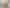 Lot 7/1 Tacitus Place, Totara Vale