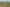 Lot 7/1 Tacitus Place, Totara Vale