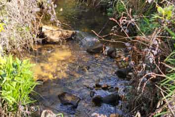 Lot 2 452 Surrey Road, Tariki