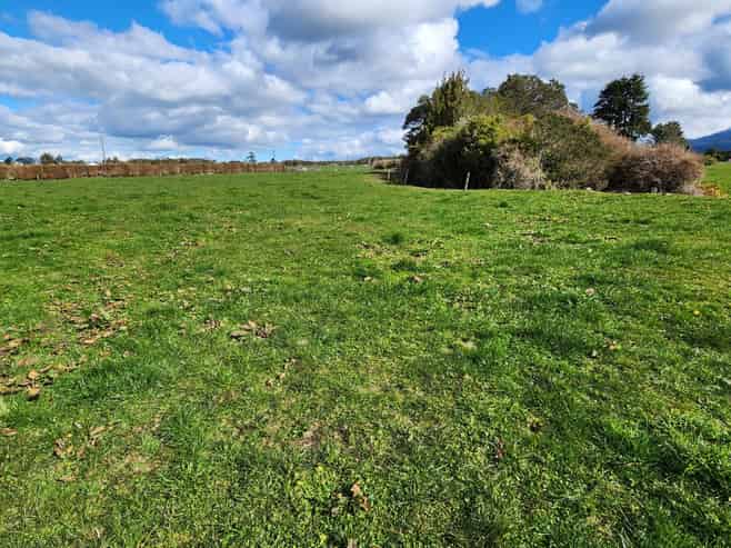 452 Surrey Road, Tariki