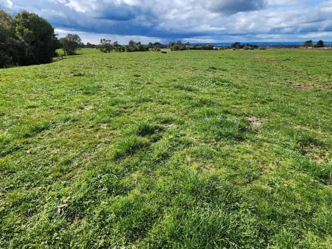 452 Surrey Road, Tariki