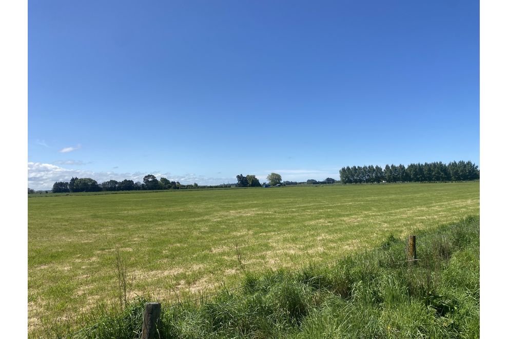 59 North Town Belt, Temuka, Timaru For Sale realestate.co.nz