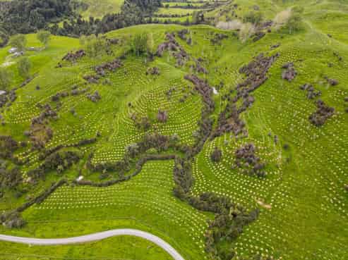 324 Hoggs Road, Rangiwahia