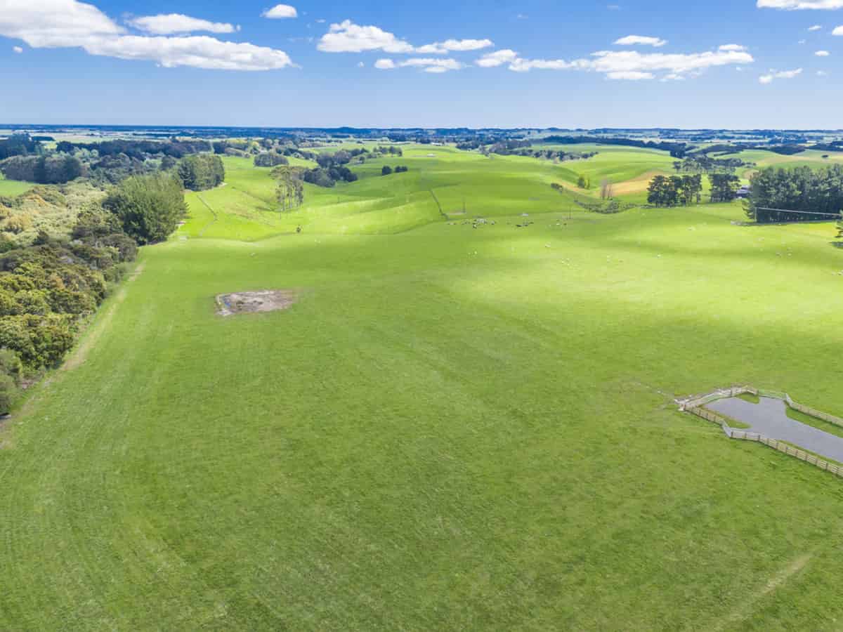 Homes and Real Estate for Sale realestate.co.nz