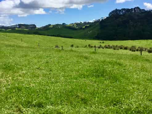 Lot 1/& Lot 5 Wharehine Road, Wellsford