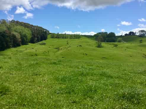 Lot 1/& Lot 5 Wharehine Road, Wellsford