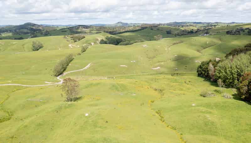 Lot 1/& Lot 5 Wharehine Road, Wellsford