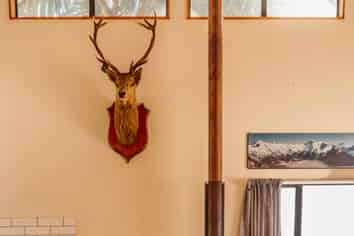 Central Methven Accommodation Opportunity
