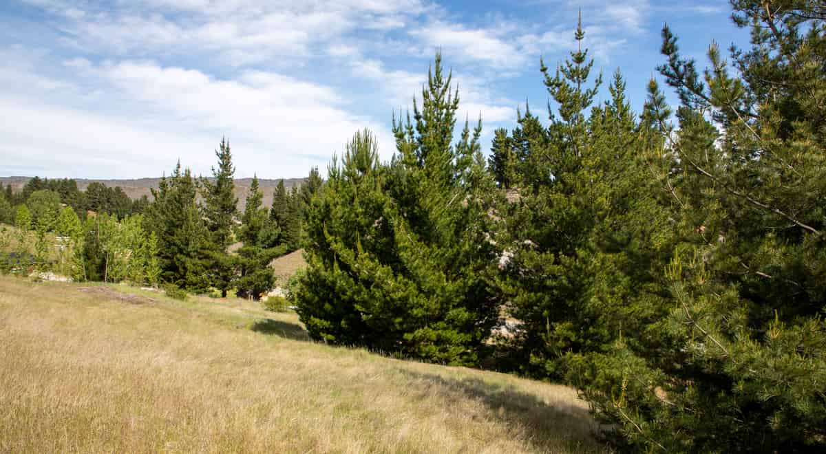 Lot 2, 92 Gilligans Gully Road, Alexandra, Central Otago For Sale