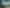 Bay of Plenty - Address withheld