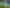 Bay of Plenty - Address withheld