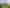 Bay of Plenty - Address withheld