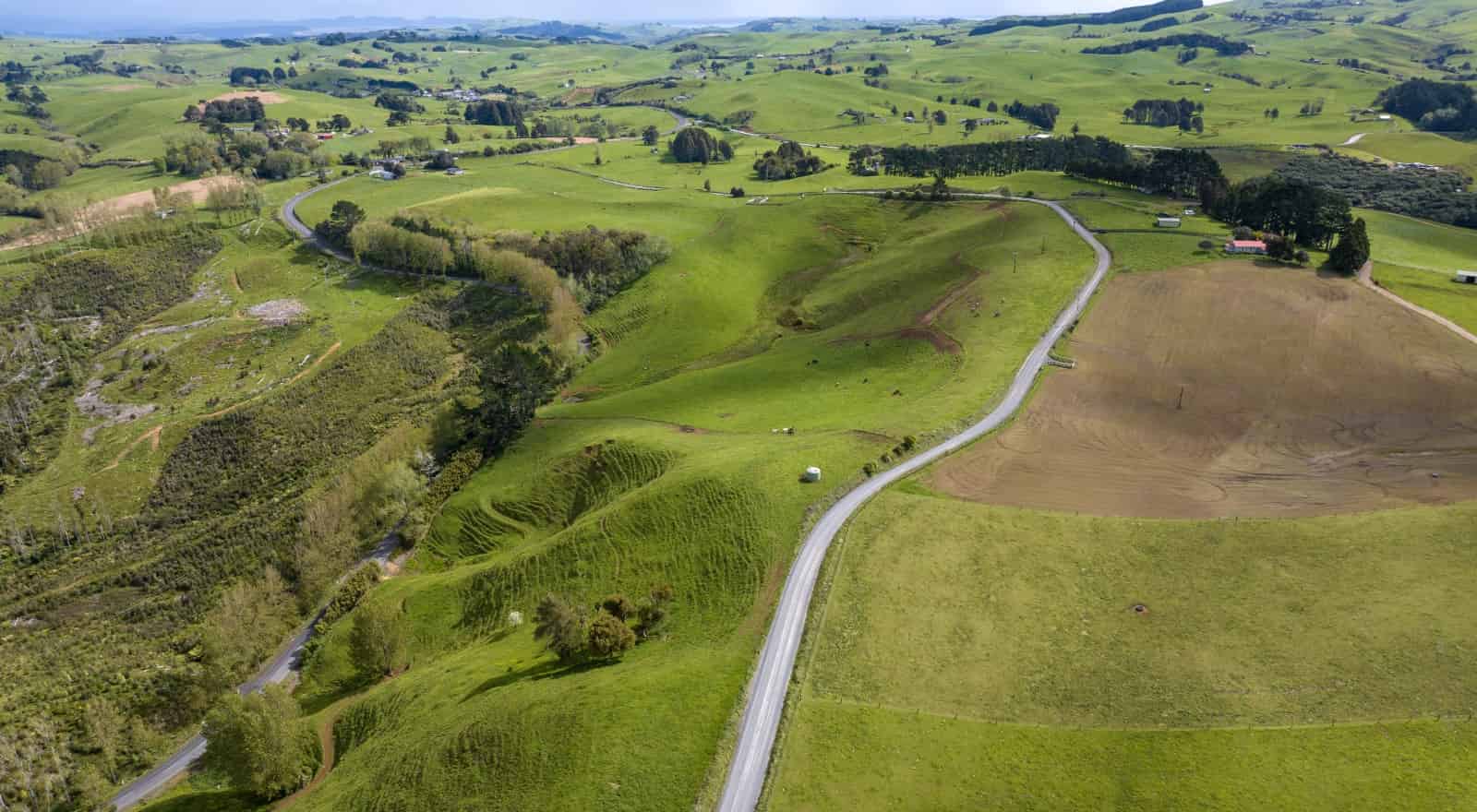 697 Maungatawhiri Road, Raglan, Waikato For Sale realestate.co.nz