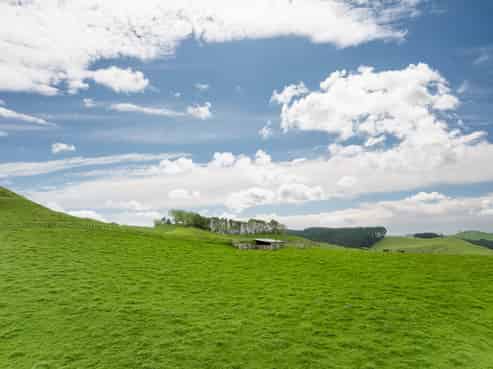 Lot 3, 189 Pahihi Road, Tirau