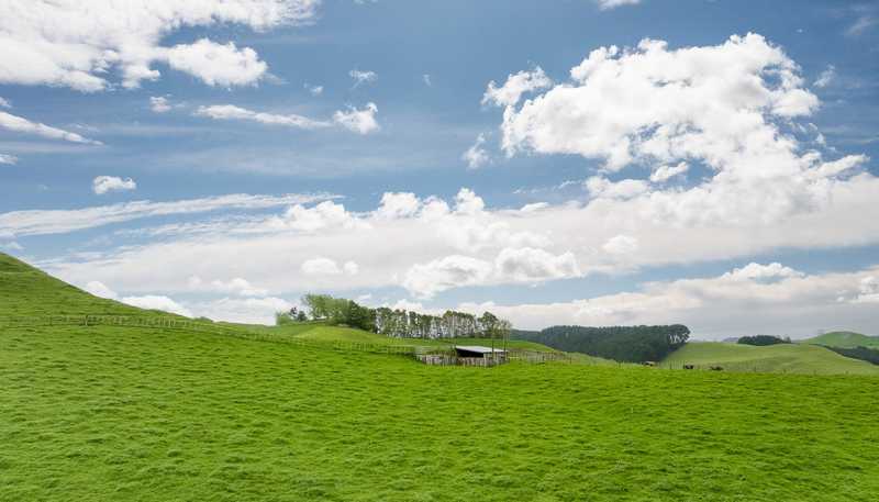 Lot 3, 189 Pahihi Road, Tirau