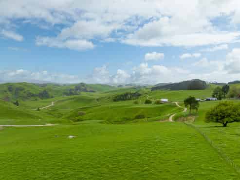 Lot 3, 189 Pahihi Road, Tirau