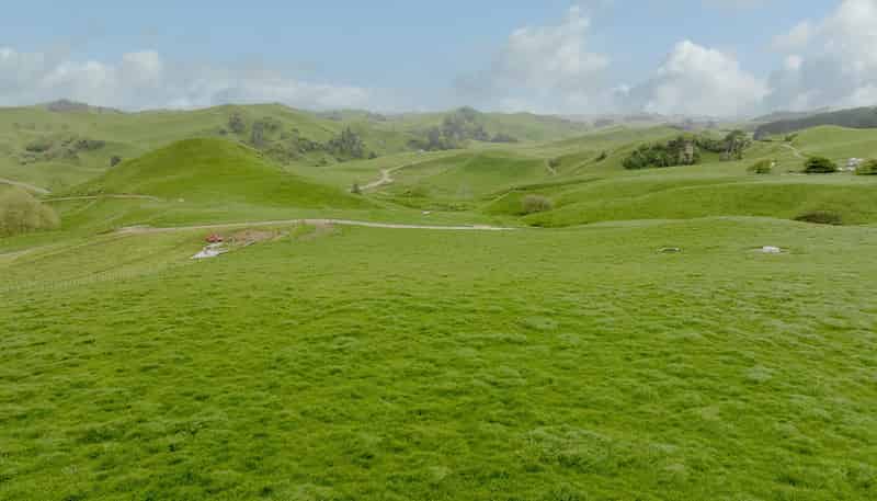 Lot 3, 189 Pahihi Road, Tirau