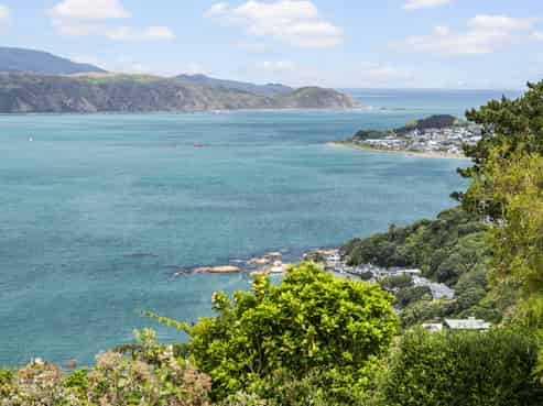 202 Nevay Road, Karaka Bays