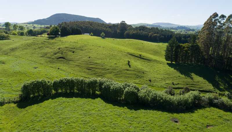  Apirana Road, Horohoro