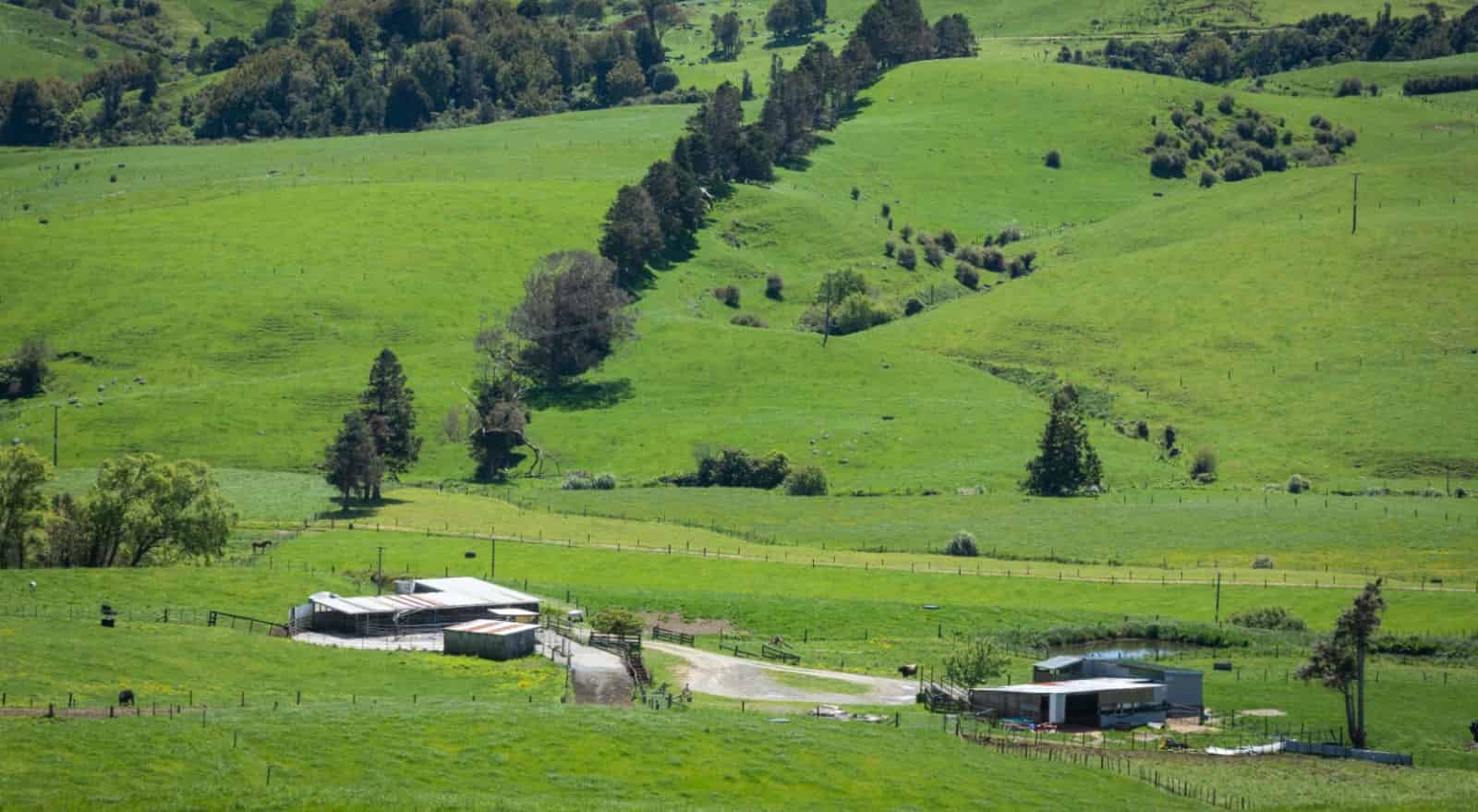 686 Waihi Whangamata Rd, Waihi, Hauraki For Sale realestate.co.nz