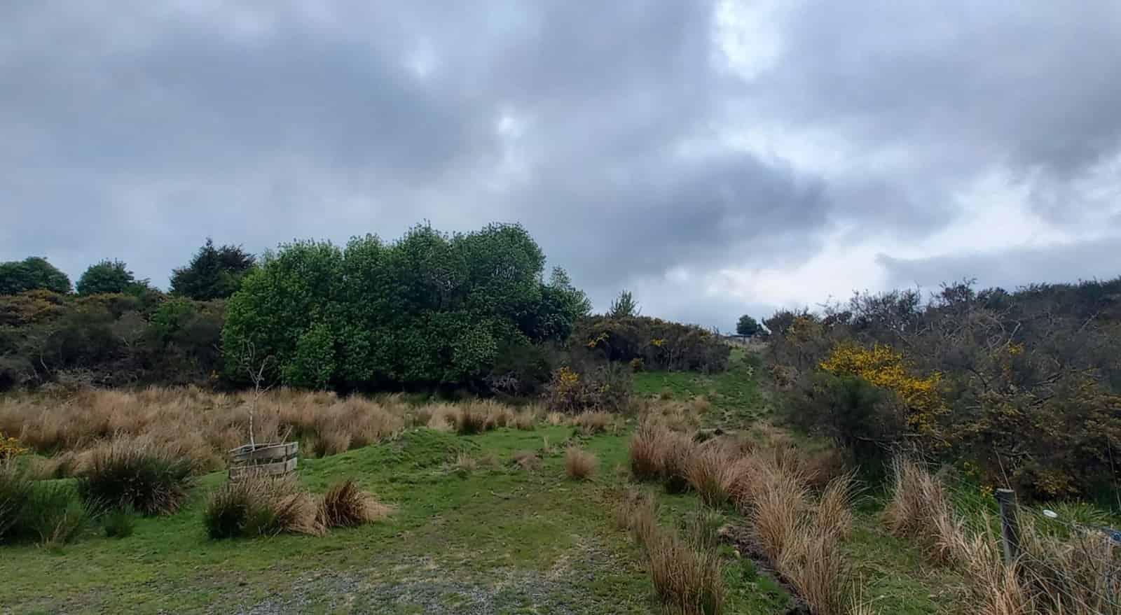 27 Leithen Street, Nightcaps, Southland For Sale realestate.co.nz